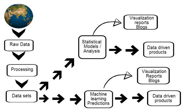 What does a data scientist do