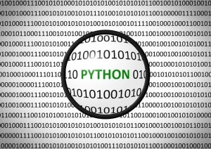 Any aspiring data scientist should know these Python libraries