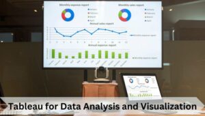 Advanced Tableau Techniques for Data Analysis and Visualization